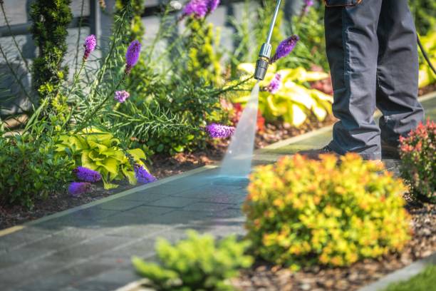Reliable Bellaire, TX Pressure Washing Services Solutions