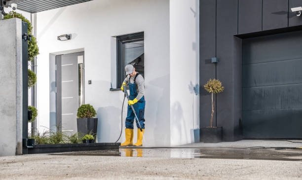 Best Winterizing Services  in Bellaire, TX
